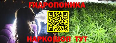 прущие крисы Жуковский