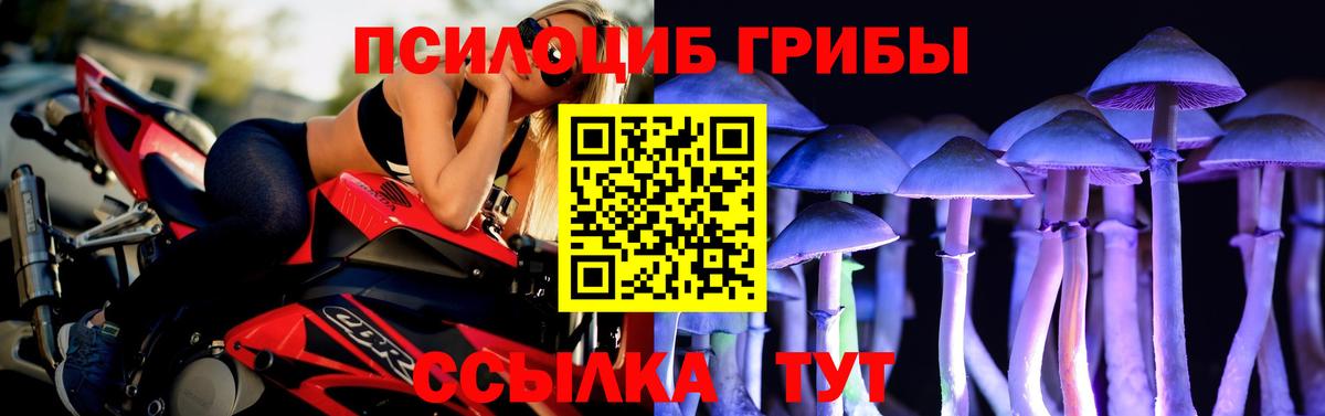 Галлюциногенные грибы GOLDEN TEACHER  Вход с VPN  Майский 